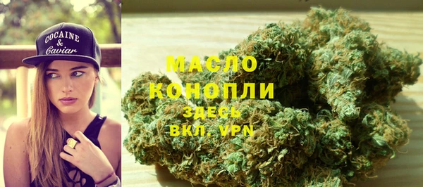 гидра Майский