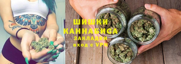 гидра Майский
