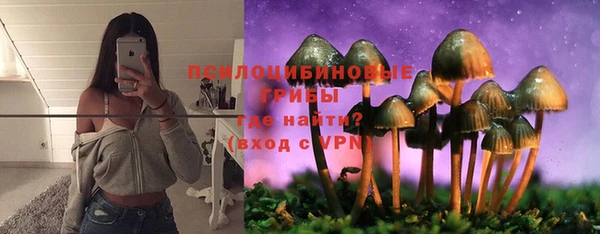 гидра Майский